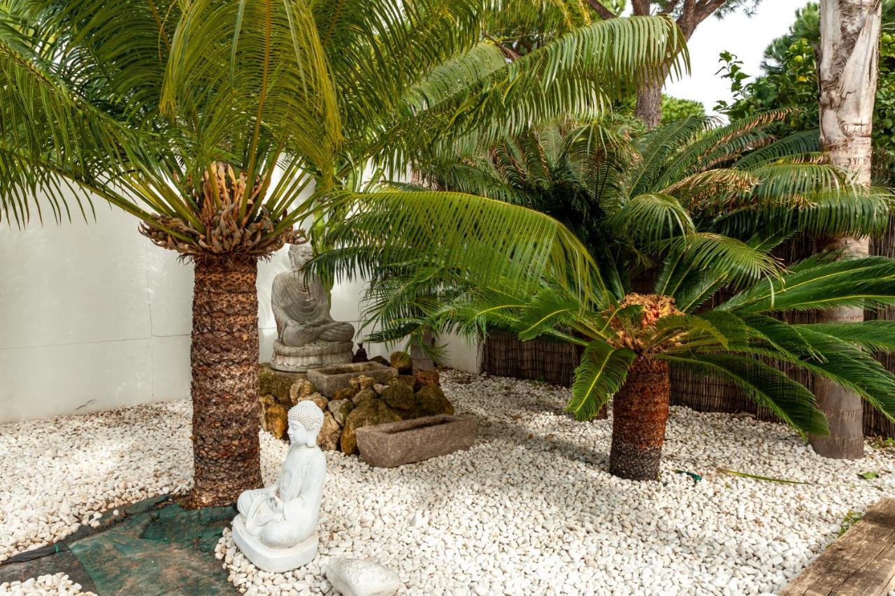 Chalet Con Piscina Privada En Mazagón Extérieur photo